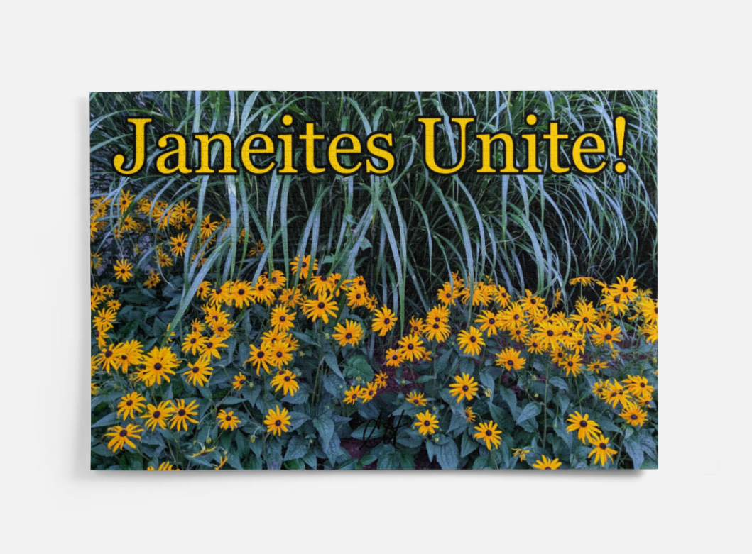 Jane Austen Janeites Unite 1000 Piece Puzzle in Metal Tin Box