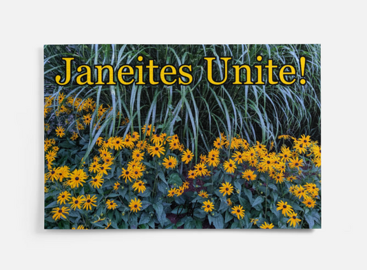 Jane Austen Janeites Unite 1000 Piece Puzzle in Metal Tin Box