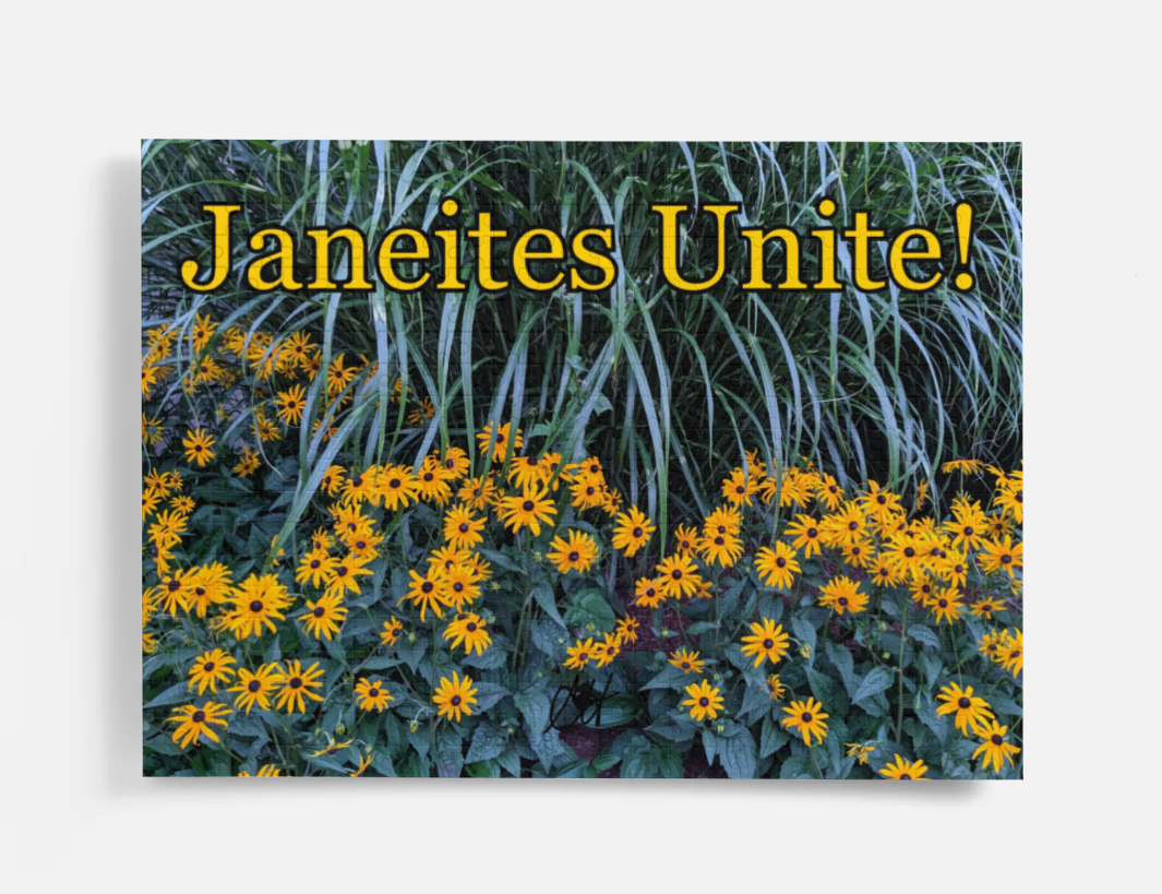 Jane Austen Janeites Unite 500 Piece Puzzle in Metal Tin Box