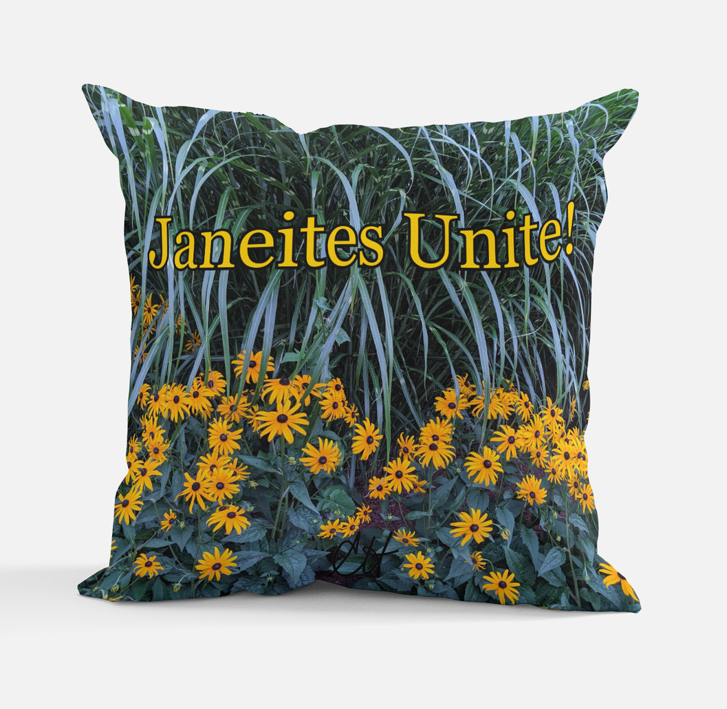 Jane Austen Janeites Unite Pillow with 100% polyester outer-shell and recycled fibre filling Front Back same